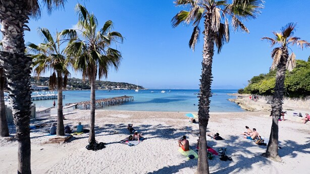 Ein Strand mit Palmen, einem Steg und klarem, blauem Wasser.