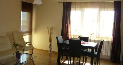 Hermanstadt - Sibiu Charming Location, Good Access To Historical Center