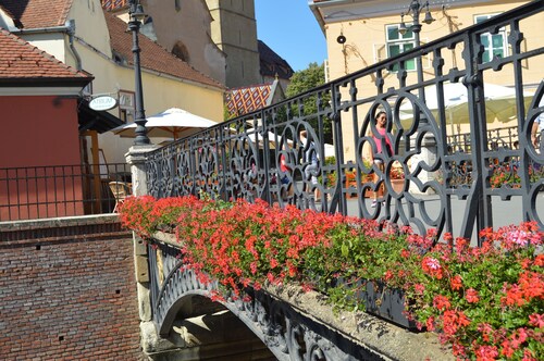 Hermanstadt - Sibiu Charming Location, Good Access To Historical Center