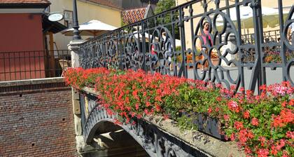 Hermanstadt - Sibiu Charming Location, Good Access To Historical Center