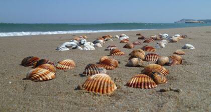 Empuriabrava: Beautiful and quiet apartment with a nice view, only 100m from the beach