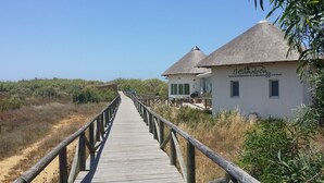 A wooden boardwalk leading to a building with a thatched roof, surrounded by dry vegetation. - Chipiona Corner semi-detached house on the beachfront (Chipiona)