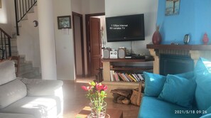 Fernseher, Kamin, DVD-Player, Bücher