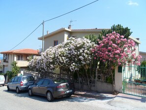 Property grounds - In the paradise of Sardinia,beautiful apartme 400 m from the sea of ​​CalaGonone (Cala Gonone)