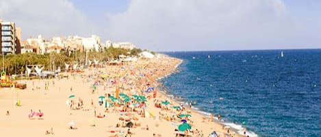 Beach nearby, sun-loungers