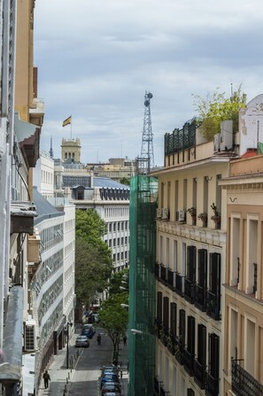 Vista desde la propiedad