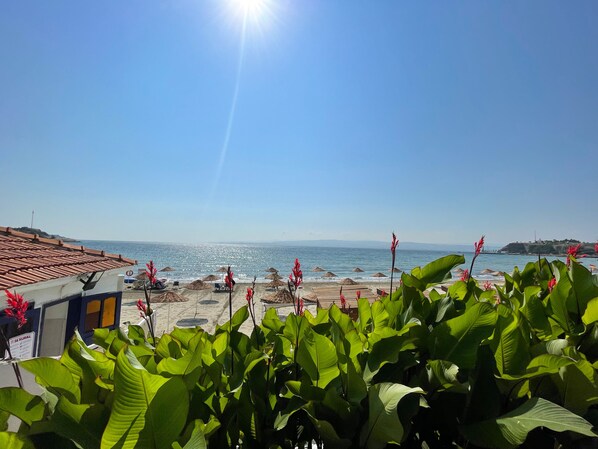 On the beach, free beach shuttle, free beach cabanas, beach umbrellas