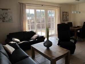 电视、壁炉、DVD 播放器、书