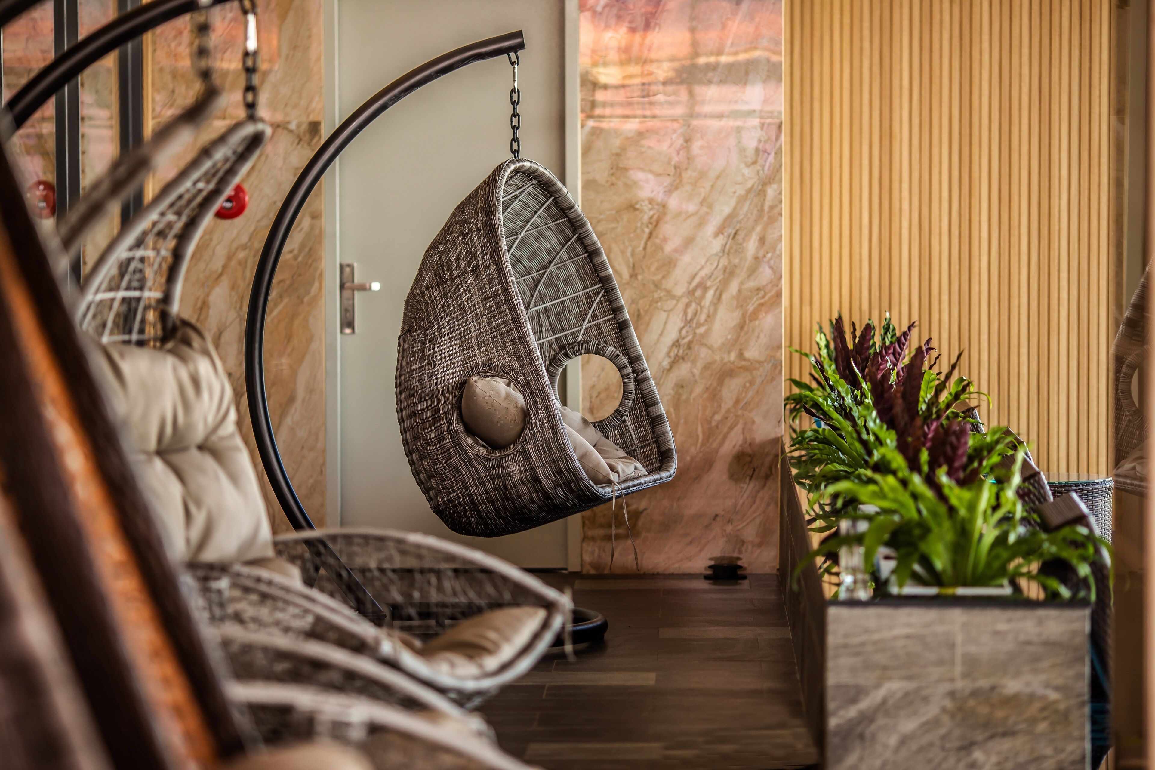 Outdoor pool, pool loungers