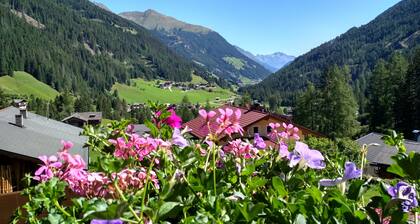 Large apartment for family and friends with a mountain panorama, free WiFi