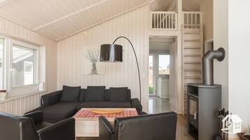 TV, lareira, DVD player, livros