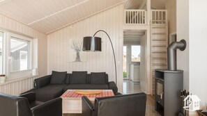 Télévision, cheminée, lecteur de DVD, livres