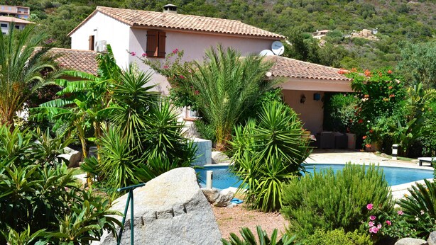 A villa with a swimming pool surrounded by tropical plants and a hillside in the background. - Magnificent villa with sea view  (Zonza)