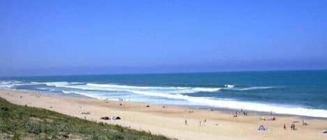 Una spiaggia nelle vicinanze