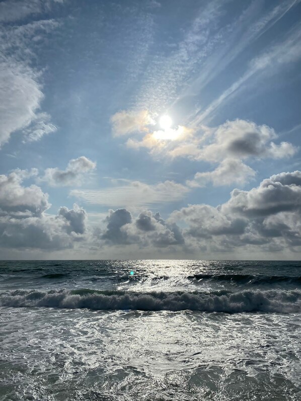 منوع