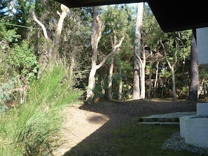 Property grounds - Architect house, 500 meters from the ocean, nestled in a dead end (Seignosse)