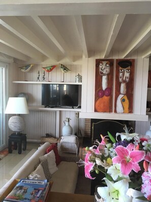 Télévision, cheminée, lecteur de DVD