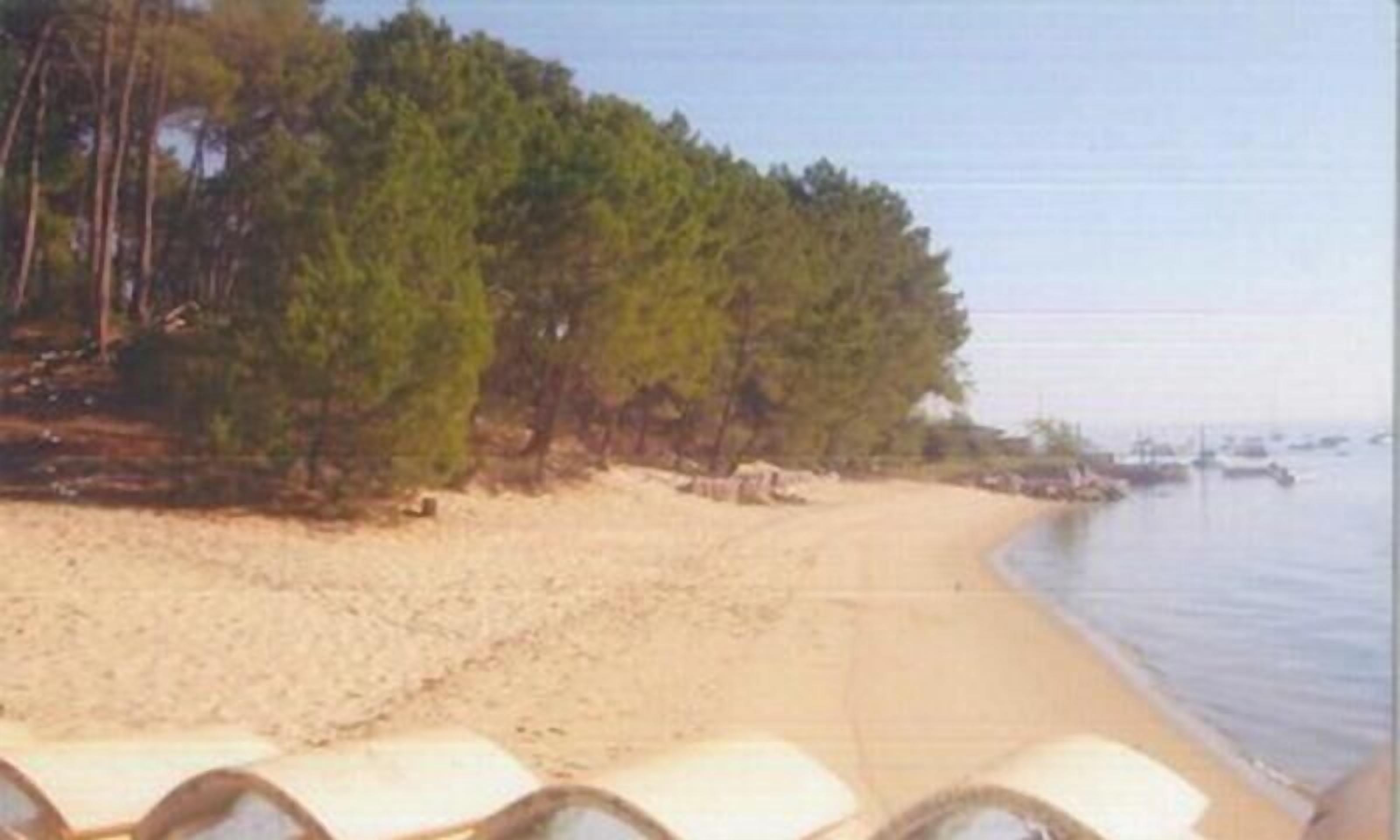 Plage, chaises longues