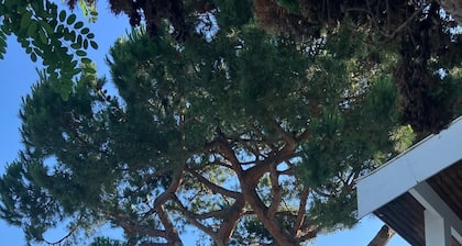 Exceptional villa for rent Cap Ferret / 6-8 ppl