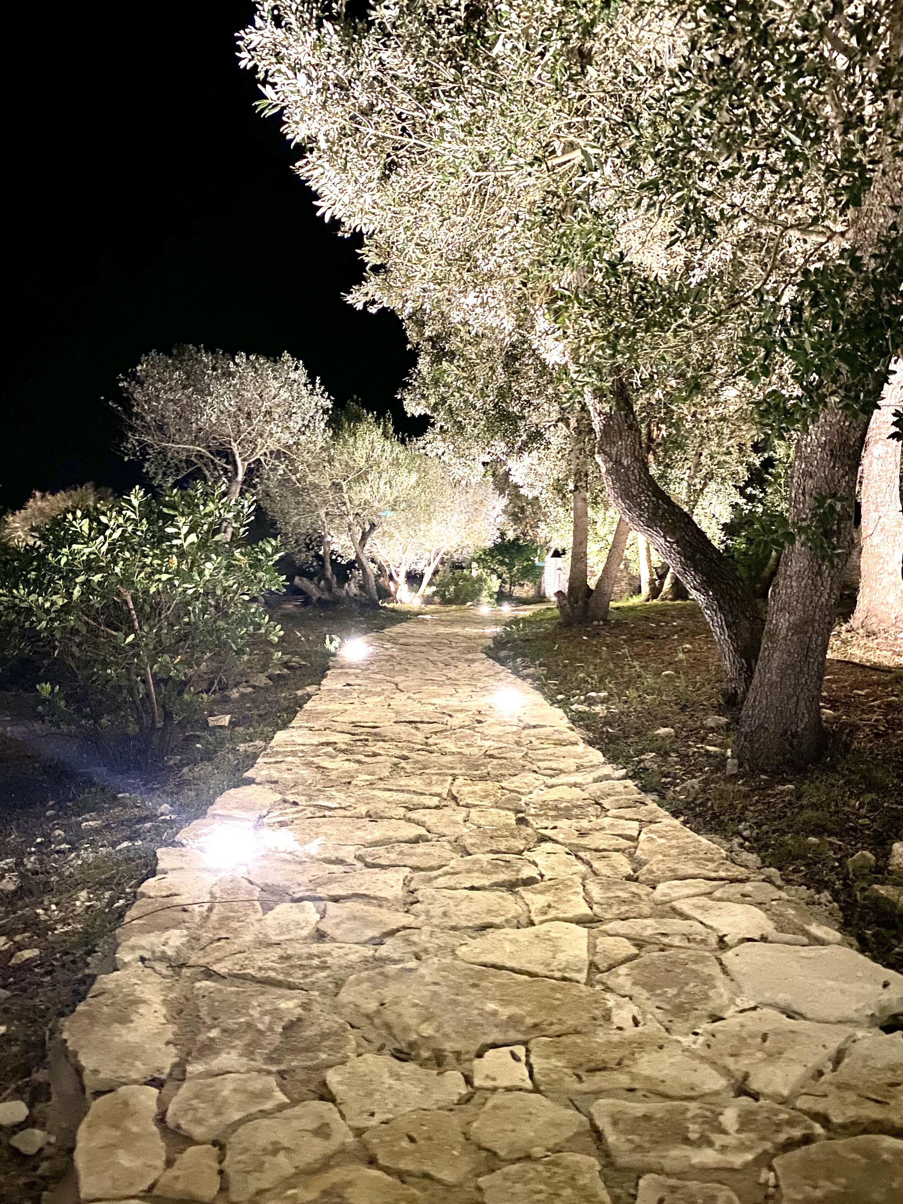 Overnatningsstedets område