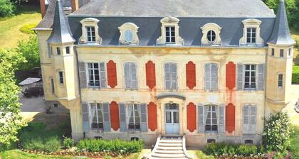 Château in Champagne, luxurious, very affordable, private for 1 Family /group