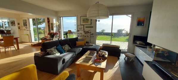 TV, fireplace, DVD player, books