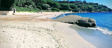 在海滩、沙滩毛巾