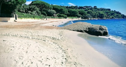 FIELD direct access CAPILLA beaches of Saint Tropez