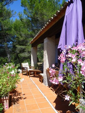 Terrace/patio - Quiet holiday villa with swimming pool and superb view in the Luberon (Vitrolles-En-Lubéron)