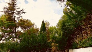 A swimming pool with clear blue water, surrounded by trees and a white wall. - Quiet holiday villa with swimming pool and superb view in the Luberon (Vitrolles-En-Lubéron)