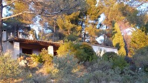 A rustic house surrounded by dense vegetation and trees. - Quiet holiday villa with swimming pool and superb view in the Luberon (Vitrolles-En-Lubéron)