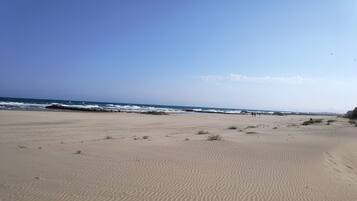 On the beach