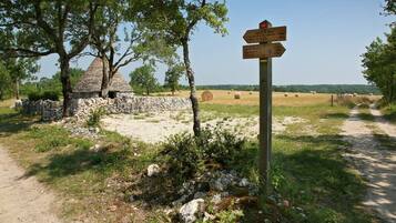 Terrein van de accommodatie