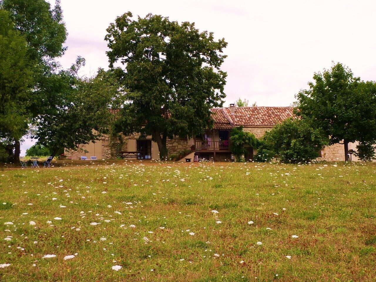 Una casa de fachada de piedra, tejado de tejas y césped con flores blancas.