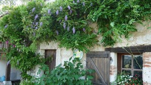 A rustic building with a vine-covered exterior, a wooden door, and a window with a flower box. - Comfortable space and well decorated (Castelsagrat)