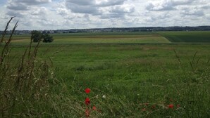 A wide-open field with a distant town skyline, a clear sky, and scattered red flowers. - Le Cottage - Ferme de Pontaly (BAILLY)