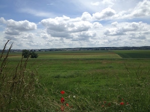 A wide-open field with a distant town skyline, a clear sky, and scattered red flowers. - Le Cottage - Ferme de Pontaly (BAILLY)