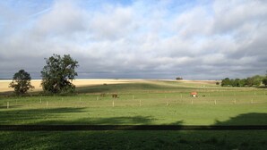 A rural landscape with open fields, a few trees, and a cloudy sky. - Le Cottage - Ferme de Pontaly (BAILLY)
