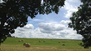 A rural landscape with hay bales and trees. - Le Cottage - Ferme de Pontaly (BAILLY)