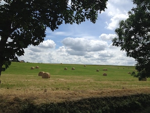 A rural landscape with hay bales and trees. - Le Cottage - Ferme de Pontaly (BAILLY)