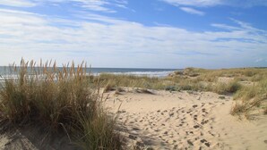 Una playa arenosa con dunas y hierbas, que se extiende hasta el océano.