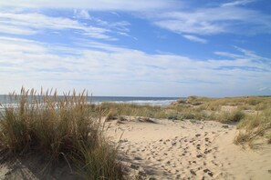 بالقرب من الشاطئ