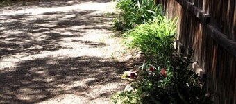 Historic Downtown Adobe Apartment near everything you want