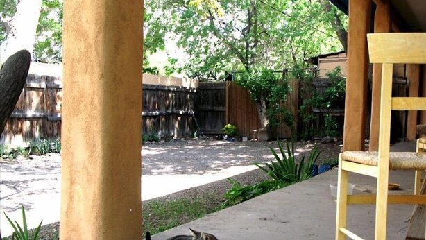 Un chat est allongé sur une terrasse en béton, avec une chaise en bois et une clôture en bois en arrière-plan.
