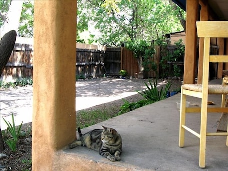Terrace/patio. Historic Downtown Adobe Apartment near everything you want