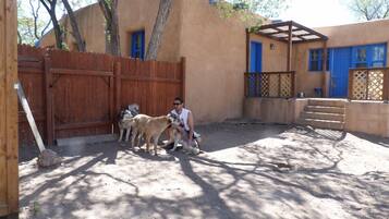 Un hombre sentado con tres perros en un patio con cerca de madera y un edificio con puertas azules.