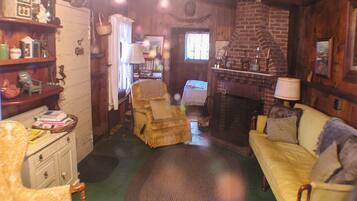 Télévision, cheminée, lecteur de DVD, livres