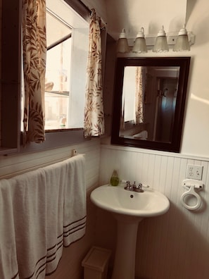 Shower, hair dryer, bidet, towels