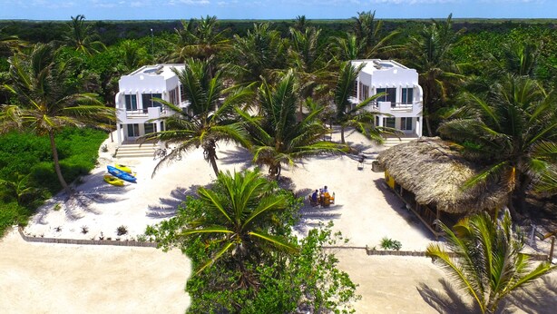 Une propriété située en bord de mer, avec deux bâtiments blancs, une plage de sable et des palmiers.