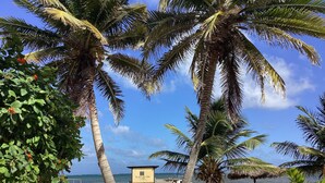 Une scène de plage avec des palmiers, une clôture en bois et un poste de surveillance des sauveteurs portant l’inscription « Playa del Sol ».